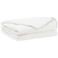 vidaXL Antklodė FULDA 220 x 260 cm Vasara 100 GSM 90% žąsų pūkai Balta