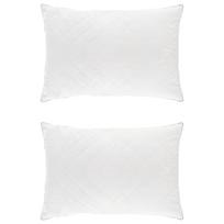 vidaXL Pagalvė FULDA 2 vnt. 30 x 50 cm 100% žąsų pūkai ir plunksnos