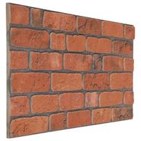 vidaXL Sienų plokštės 10 vnt. 100 x 50 cm Terakotos EPS putos