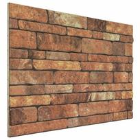 vidaXL Sienų plokštės 10 vnt. 100 x 50 cm Ruda ir balta EPS putos