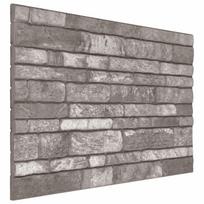 vidaXL Sienų plokštės 10 vnt. 100 x 50 cm Tamsiai pilka EPS putos