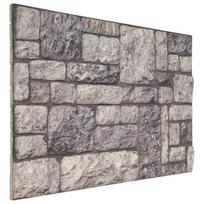 vidaXL Sienų plokštės 10 vnt. 100 x 50 cm Pilka ir balta EPS putos