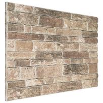 vidaXL Sienų plokštės 10 vnt. 100 x 50 cm Įvairiaspalvis EPS putos