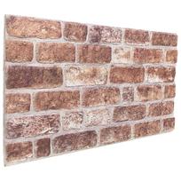 vidaXL Sienų plokštės 10 vnt. 100 x 50 cm Ruda EPS putos