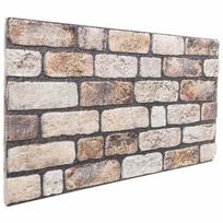 vidaXL Sienų plokštės 10 vnt. 100 x 50 cm Šviesiai rudas EPS putos