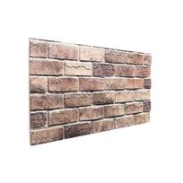 vidaXL Sienų plokštės 10 vnt. 100 x 50 cm Ruda ir pilka EPS putos