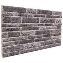 vidaXL Sienų plokštės 10 vnt. 100 x 50 cm Antracito EPS putos