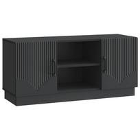 vidaXL Televizoriaus spintelė 102 x 34,5 x 47 cm Juoda