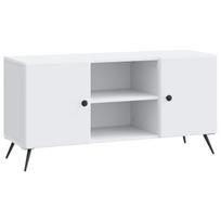 vidaXL Televizoriaus spintelė Balta 102 x 34,5 x 50 cm