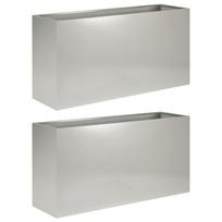 vidaXL Sodo vazonas 2 vnt. Sidabrinė 100 x 30 x 50 cm