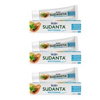 Sri Sri Tattva Sudanta Toothpaste | Herbal Actives For Naturally Brighter Smile | Sulphate-Free, Non-Fluoride, Clinically Tested Ayurvedi white