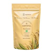 Earthful Sąžiningas augalinis baltymas | 24 g baltymų/porcijoje ir 4,9 g BCAA | Svorio valdymui, energijai, raumenų palaikymui ir atsigavimui | Pagamintas iš žirnių ir Br