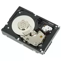 DELL 1D9NN vidinis kietasis diskas 2 TB 7200 RPM 3.5 colio SAS