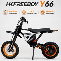 FREEBOY Y66 E-Bike High Power Motor 48V30AH Battery Electric Bicycle Max Speed 12/10-Inch All-Terrain Fat Tires Mountain Electric Bike Y66-48V30AH-TT-1