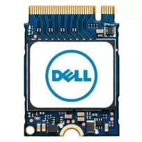 DELL SNP112233P/256G vidinis kietojo kūno diskas 256GB M.2 PCI Express NVMe