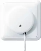 JUNG 5506 to WW traukimo grandinės jungiklis, baltas, 250 V, 10 A
