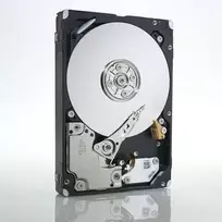 IBM 600GB 2,5 colio SFF Slim SAS-2 10000 aps./min. kietasis diskas su karštojo keitimo funkcija