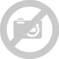Elektrinė dėžė Rittal KX 1517.000 nerūdijančio plieno IP66, 300×80×200 mm