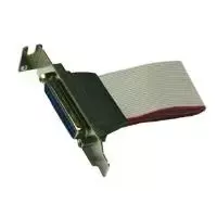 Žemo profilio lizdo kabelis Exsys EX-K41005 25 kontaktų lygiagretusis 30 cm