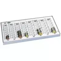 Padėklas pinigams WEDO 160 100837 Plastikinis Pilkas