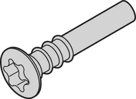 SCHROFF Torx varžtas su lęšine galvute - NTS LISESHR TORX3.0X20 100 vnt. (24812501)