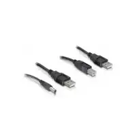 DeLOCK 82461 maitinimo kabelio rinkinys, USB-A 4 kontaktų (M) į USB-B 4 kontaktų + DC 2,1 mm (M), 0,3 m