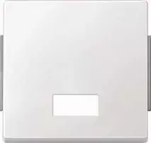 MERTEN 343819 AQUADESIGN poliarinė balta – svirtinis jungiklis m.Rectangle su simboliais