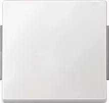 MERTEN 343119 AQUADESIGN svirtinis jungiklis poliarinė balta IP44