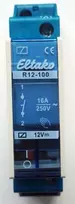 Perjungimo relė R12-100-12V DC (22100054)
