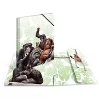 Konvencinis segtuvas HERMA Monkey gang Polipropilenas A3