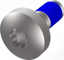 SCHROFF LIKOSCHR.TORX M4X10 varžtai (100 vnt.) (24566103)