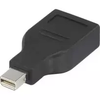 Renkforce 1391524 adapteris DisplayPort – Mini-DisplayPort kištukas į DisplayPort lizdą, juodas