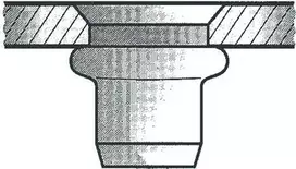 Aklavarinė veržlė GESIPA M10x12x21 įleidžiama galvute 4,0–6,5 mm lakštui – 100 vnt.