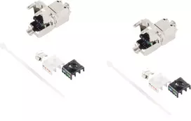Keystone RJ45 Cat 6A jungtis ShiverPeaks BS08-10002-2 beįrankė, 2 vnt. pakuotė