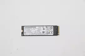 Lenovo 5SS0V26441 vidinis kietojo kūno diskas 256GB M.2 PCI Express 3.0