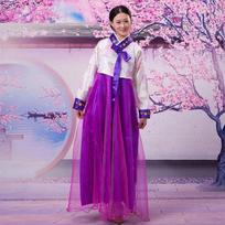 Dae Jang Geum Traditional Korean Clothing Embroidery Ethnic Style Korean Hanbok Dress Korean Multicolor Stage Dance Costume XL tamsiai raudona spalva