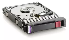 Hewlett Packard Enterprise 300GB SAS 2.5 colio kietasis diskas (W125833981)