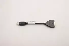 Adapteris DisplayPort į DVI Lenovo 5C10V06000 — DisplayPort (kištukas) į DVI-D (lizdas) pasyvus adapteris