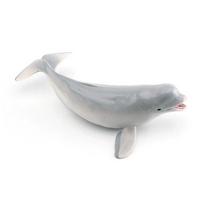 Marine Animal Replica White Whale Shark Static Model For Aquarium Display And Marine Education White Whale gray
