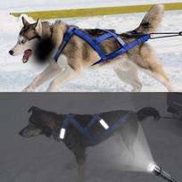 Šunų kinkinių rogės diržas Atspindintis naminio gyvūno svorio traukimo rogės diržas liemenė vidutinio dydžio ir dideliems šunims Husky Canicross Skijoring Motoroleriai chest 65 to 85cm geltona