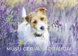 Sieninis kalendorius 2027. Mūsų geriausi draugai
