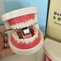 Novelty Denture Shaped Stapler With Free Staples Pack Perfect For Office Decor Student Stationery Funny one size white