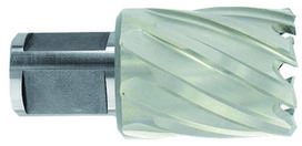 Metalo gręžimo freza Ø28X60X30 мм HSS, tvirtinimas  Ø19 мм, Weldon