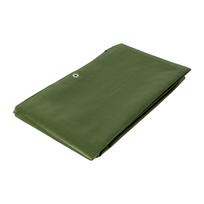 Truper tentas Extreme 3x4m, alyvuogių žalia, 240g/m2