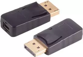 Adapteris ShiverPeaks 10-01030 — Mini DisplayPort į DisplayPort, palaiko 4K