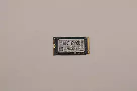 Lenovo 256GB M.2 2242 PCIe Gen3 x4 NVMe vidinis SSD (5SS0V26422)