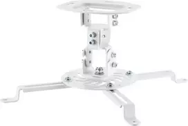 Wentronic Goobay universali lubų laikiklis projektoriams, 10 kg, sidabrinis 80362