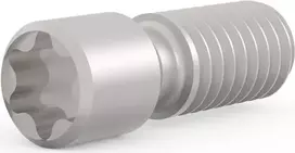 SCHROFF M2,5 x 9 mm kūginis varžtas su Torx T8 galvute, plieninis, 100 vnt. (21102980)