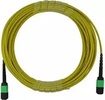 BlueOptics MPO Trunk Cable Singlemode 12 Fibers 2 Meter Type B