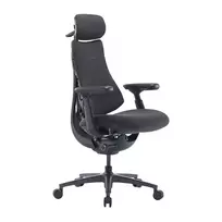 LiberNovo Omni Pro 48 cm ergonomiška kėdė (grafito spalvos)